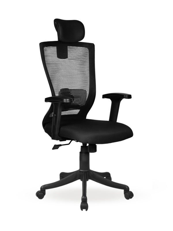 Executive Chair BC125 HB